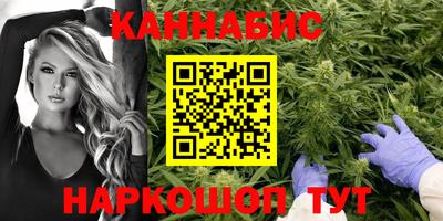 МДПВ Новодвинск