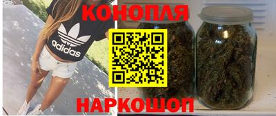 альфа пвп Новокубанск