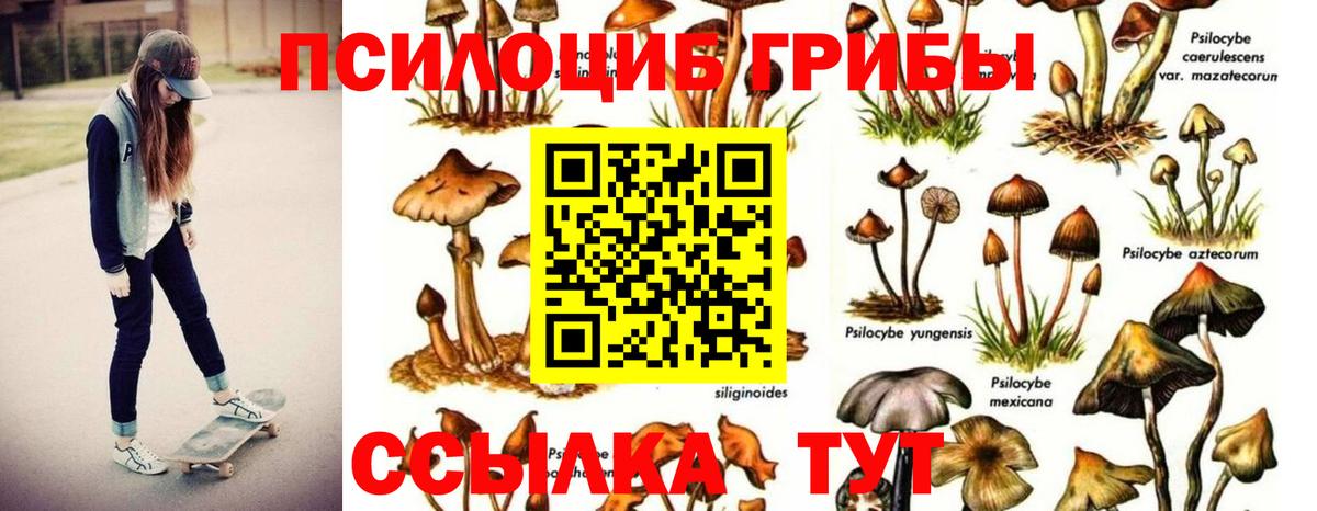 Галлюциногенные грибы Psilocybine cubensis  Вход с VPN  Тихорецк 